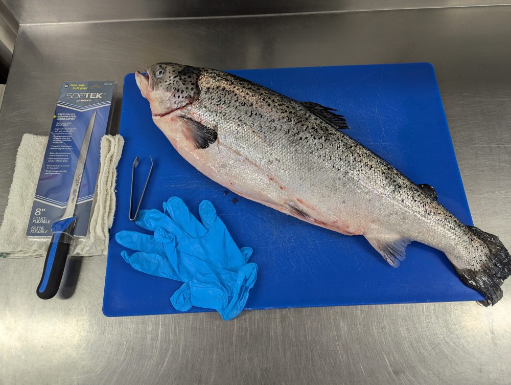 Effing Oyster School - Fish Filleting Class - LEVEL 1 - Image 2